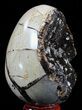 Septarian Dragon Egg Geode - Black Crystals #54551-1